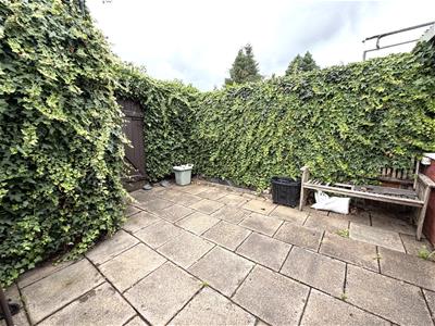 Picture 17